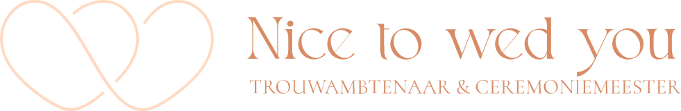 nice to wed you logo